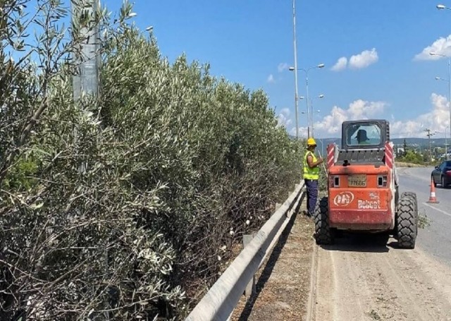 cache/resized/8f49205bda496607b1ba169a9c60b304.jpg