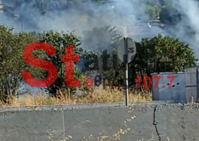 cache/resized/aaf6f74ea675e28bdcd808ddb5ec12c0.jpg
