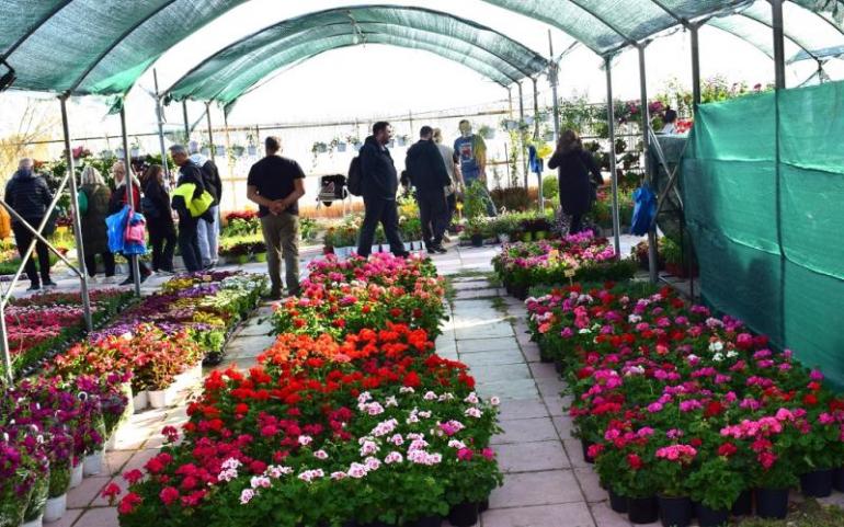 Θεσσαλονίκη: Ανοίγει τις πύλες της αύριο, Σάββατο η Ανθοκομική Έκθεση Καλαμαριάς