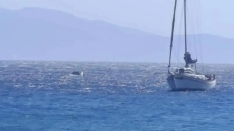Τήνος: Αυτοκίνητο έπεσε στη θάλασσα, στο λιμάνι του Όρμου