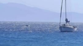 Τήνος: Αυτοκίνητο έπεσε στη θάλασσα, στο λιμάνι του Όρμου