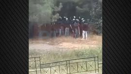Ζωγράφου: Κουκουλοφόροι τα έσπασαν στην Πολυτεχνειούπολη - Χτύπησαν γυναίκα υπάλληλο