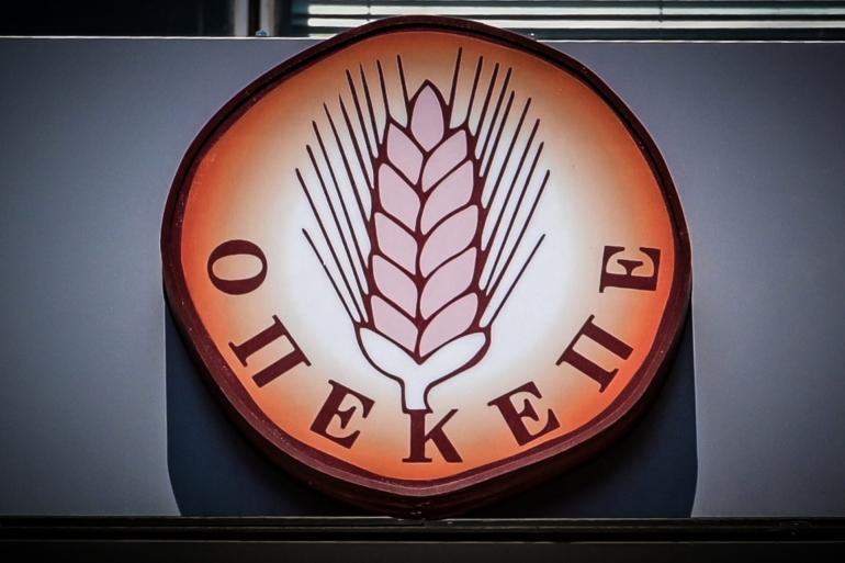 15 συλλήψεις στην Κρήτη από το ελληνικό FBI για κύκλωμα με παράνομες επιδοτήσεις ΟΠΕΚΕΠΕ: Πρόεδρος αγροτικού συνεταιρισμού ο αρχηγός