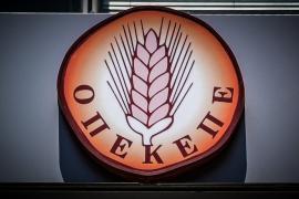 15 συλλήψεις στην Κρήτη από το ελληνικό FBI για κύκλωμα με παράνομες επιδοτήσεις ΟΠΕΚΕΠΕ: Πρόεδρος αγροτικού συνεταιρισμού ο αρχηγός