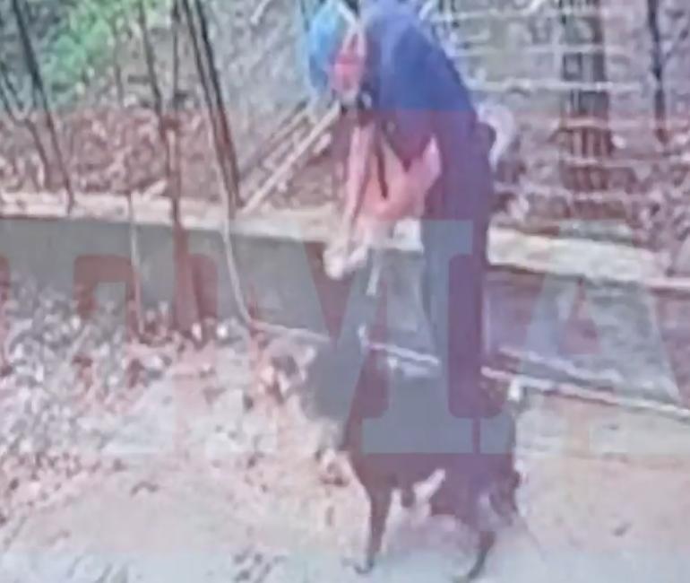 Καλαμάτα: Σε κρίσιμη κατάσταση ο 76χρονος που δέχτηκε επίθεση από το ροτβάιλερ