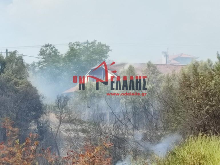 Πιερία: Φωτιά σε δασική έκταση στην Πλάκα Λιτοχώρου - Μήνυμα από 112 για εκκένωση, κάηκε ένα εξοχικό