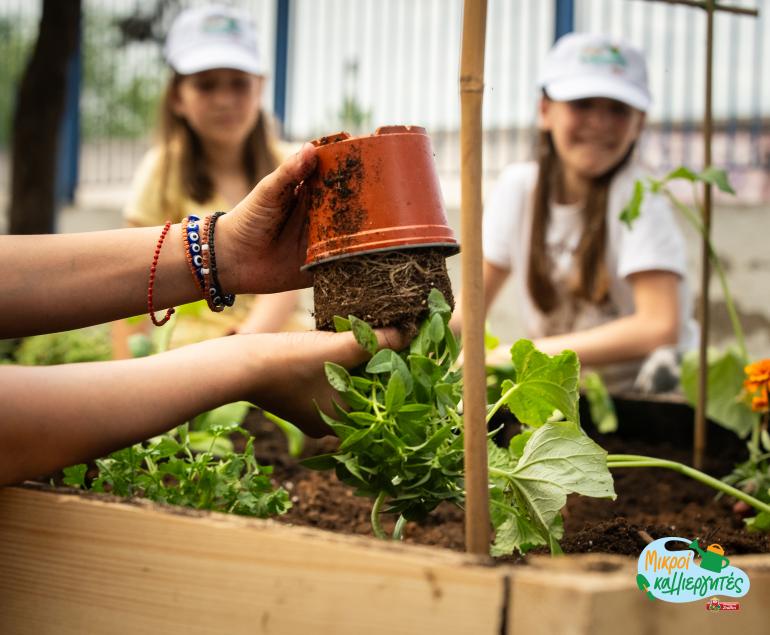 «Μικροί Καλλιεργητές»: Νέο Εκπαιδευτικό Πρόγραμμα για τη δημιουργία σχολικών λαχανόκηπων από την ΜΠΑΡΜΠΑ ΣΤΑΘΗΣ