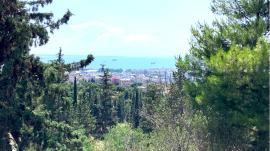 Πορτοκαλί συναγερμός για φωτιά σήμερα στη Θεσσαλονίκη - Απαγόρευση κυκλοφορίας σε Σέιχ Σου και άλλα δάση