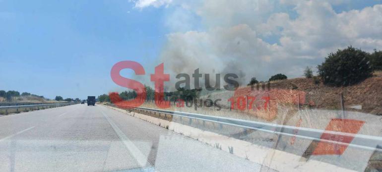 ΒΙΝΤΕΟ-ΦΩΤΟ-ΤΩΡΑ- Θεσσαλονίκη-Φωτιά ξέσπασε στον Προφήτη-Δυνάμεις της Πυροσβεστικής στο σημείο