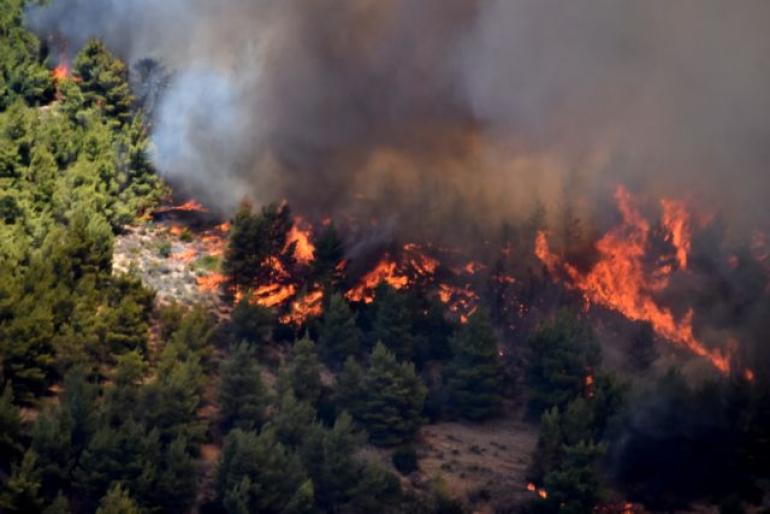 Φωτιά σε δάσος στη Μαγνησία- Εστάλη 112 για απομάκρυνση των κατοίκων