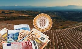 Παράνομες επιδοτήσεις: Κατασχέθηκαν χρυσές λίρες, ράβδοι χρυσού και μετρητά – Πεθαμένος “έκανε” αναλήψεις, 16 συλλήψεις