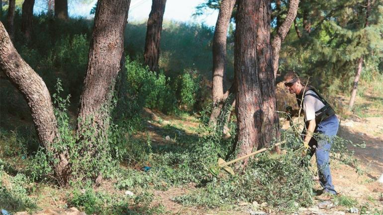 Καθαρισμός οικοπέδων: Δημοσιεύθηκε το ΦΕΚ για την παράταση έως τις 22 Ιουνίου