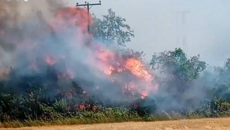 Έβρος: Οριοθετήθηκε η πυρκαγιά στον κάμπο της Δαδιάς στο Σουφλί
