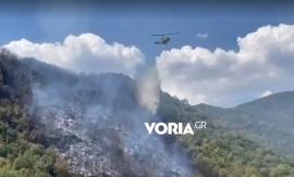 Καβάλα: Φωτιά σε δασική έκταση στους πρόποδες του Παγγαίου - Σηκώθηκαν 10 εναέρια
