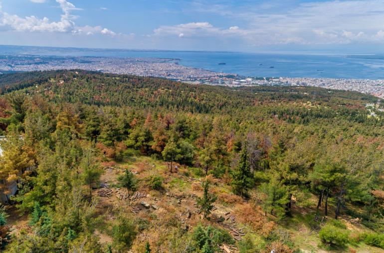 Θεσσαλονίκη: «Ασπίδα» προστασίας και ανάδειξης «υψώνει» η Δασική Υπηρεσία για το Σέιχ Σου