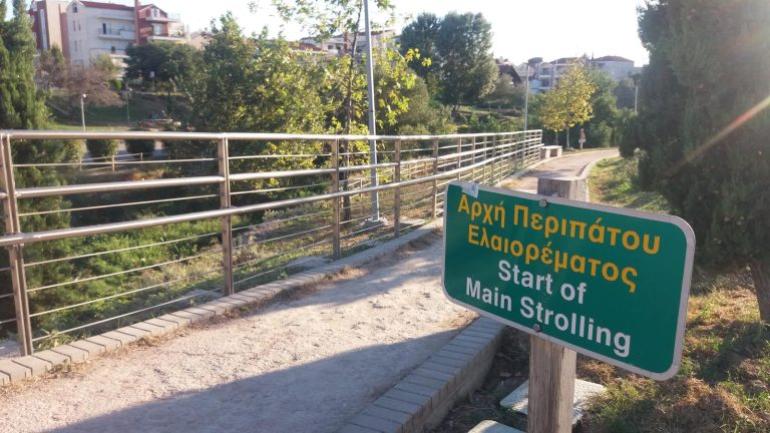 Θεσσαλονίκη: Αγέλη αδέσποτων σκύλων επιτίθεται σε περαστικούς