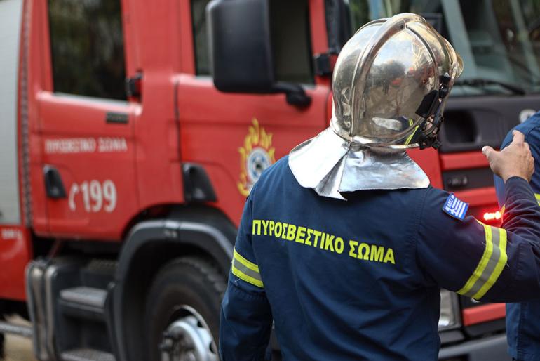 Φωτιά σε αγροτοδασική έκταση στη Χαλκιδική