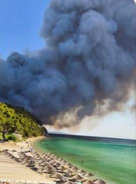 Φωτιά στη Σίβηρη: Άρχισαν οι αιτήσεις κρατικής αρωγής για τις πληγείσες επιχειρήσεις - Οι δικαιούχοι