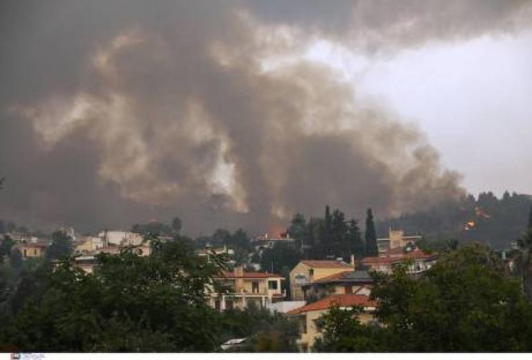 Ξεκίνησαν το πλιάτσικο στα καμμένα!