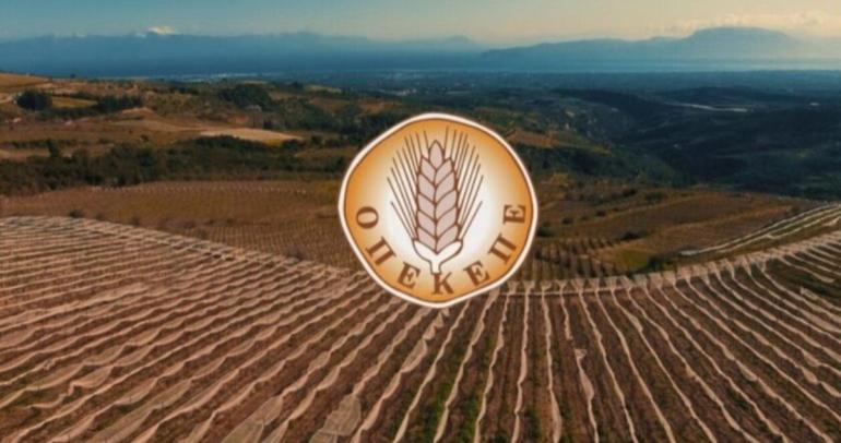 ΟΠΕΚΕΠΕ: Στο Αστυνομικό Μέγαρο Θεσσαλονίκης κρατούνται 23 συλληφθέντες για παράνομη είσπραξη επιδοτήσεων