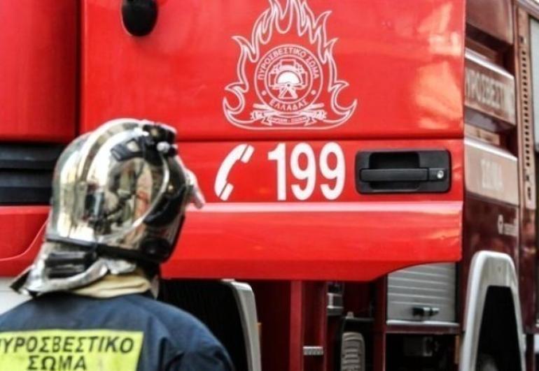 Φωτιά τώρα στη Νέα Τρίγλια Χαλκιδικής
