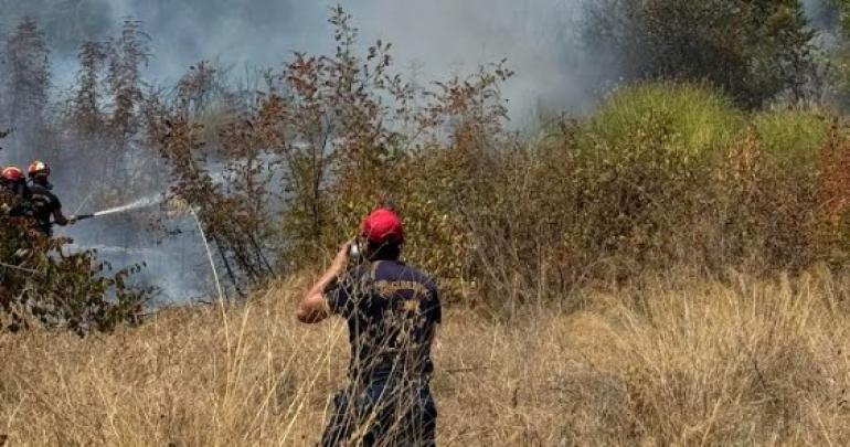 Σύλληψη και πρόστιμο για τον 50χρονο που κατηγορείται για την φωτιά στην Πλάκα Λιτοχώρου