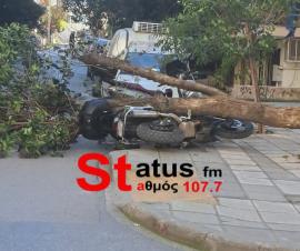 Θεσσαλονίκη: Πτώσεις δέντρων σε οχήματα λόγω ισχυρών ανέμων (ΦΩΤΟ)