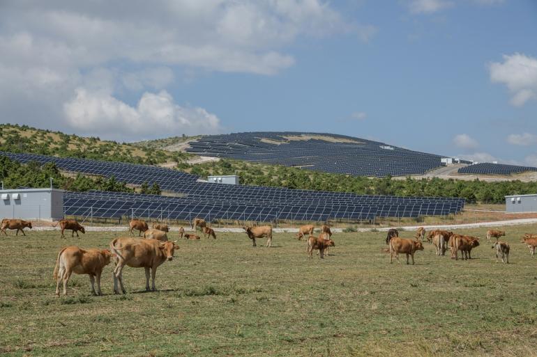 Σε λειτουργία φωτοβολταϊκό πάρκο 105 MW στην Κοζάνη με την υποστήριξη της Τράπεζας ProCredit Bank
