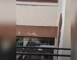 Θεσσαλονίκη: Μελίσσι αναστάτωσε δημοτικό σχολείο