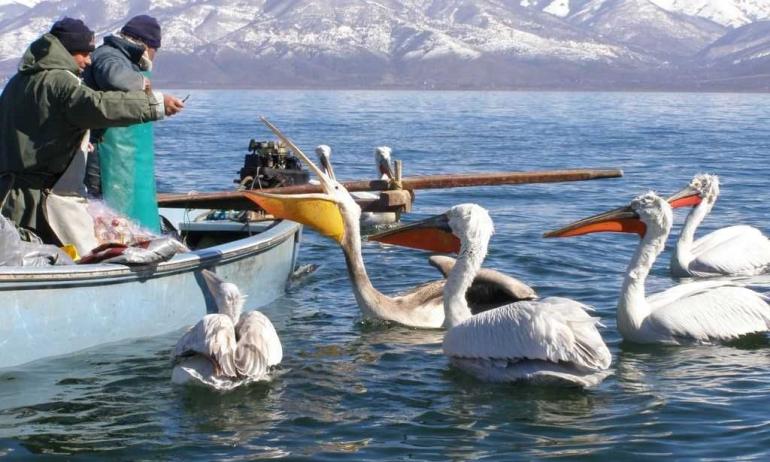 Μετά από χρόνια λειψυδρίας, η Πρέσπα ανεβαίνει 1 μέτρο: «Χρειάζεται ακόμη περισσότερο για τα ψάρια»