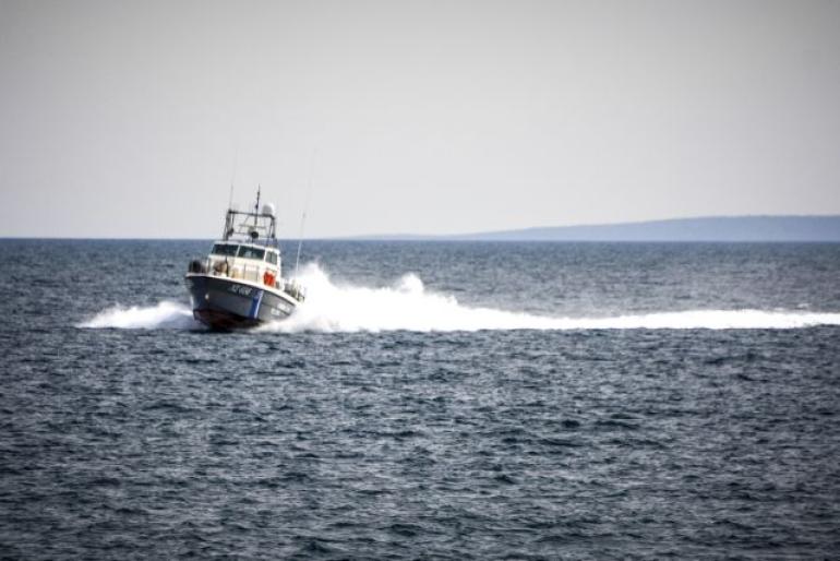 Χαλκιδική: Βρέθηκε νεκρό δελφίνι με σχοινί στην ουρά του