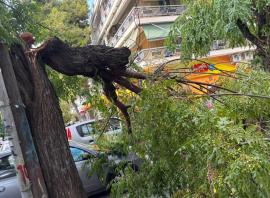 Θεσσαλονίκη: Πτώση δέντρου στην περιοχή της Μπότσαρη