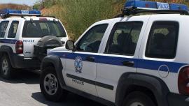 Εβρος: Νέα σύλληψη διακινητή - Μετέφερε 19 παράνομους μετανάστες