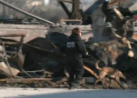 Με τη συνδρομή σκύλων – ανιχνευτών οι έρευνες στη «Βιολάντα»