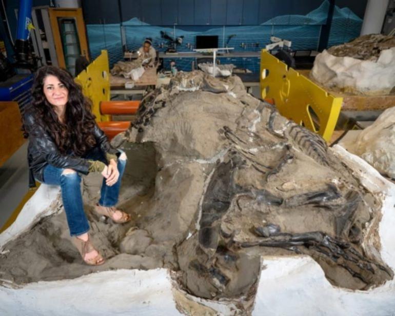 Ερευνητές ανακάλυψαν νέο είδος Τυραννόσαυρου