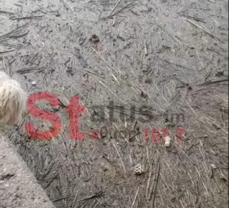 Θερμαϊκός σε άθλια κατάσταση: Εικόνες ντροπής στο παραλιακό μέτωπο της Θεσσαλονίκης