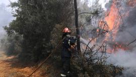 Πυρκαγιά σε δασική έκταση στην Εδεσσα (βίντεο)