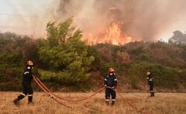 Συνολικά 28 αγροτοδασικές πυρκαγιές το τελευταίο 24ωρο σε όλη τη χώρα