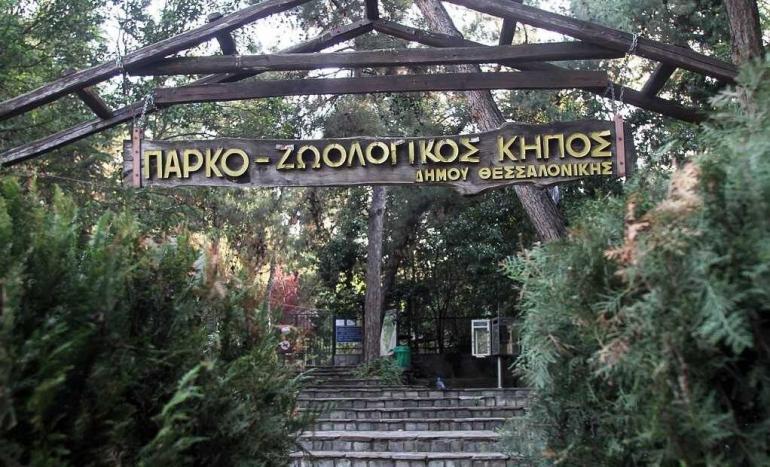 Κρούσμα βρουκέλλωσης σε κριό στον Ζωολογικό Κήπο Θεσσαλονίκης - Αναστέλλεται η λειτουργία του