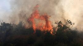 Πυρκαγιά σε αγροτοδασική έκταση στο Παραλίμνιο Σερρών