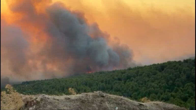 Πέλλα: Πυρκαγιά σε δασική έκταση στον δήμο Αλμωπίας – Σηκώθηκε ελικόπτερο