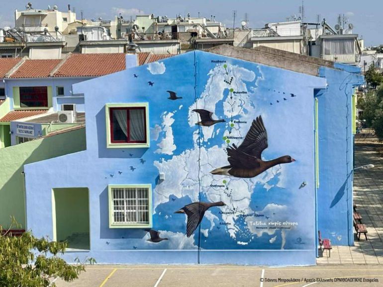 Η Νανόχηνα "ζωντανεύει" σχολικούς τοίχους στην Αλεξανδρούπολη