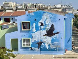 Η Νανόχηνα "ζωντανεύει" σχολικούς τοίχους στην Αλεξανδρούπολη