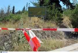 Πολύ υψηλός κίνδυνος πυρκαγιάς αύριο σε Θεσσαλονίκη και Κιλκίς – Υψηλός στη Χαλκιδική