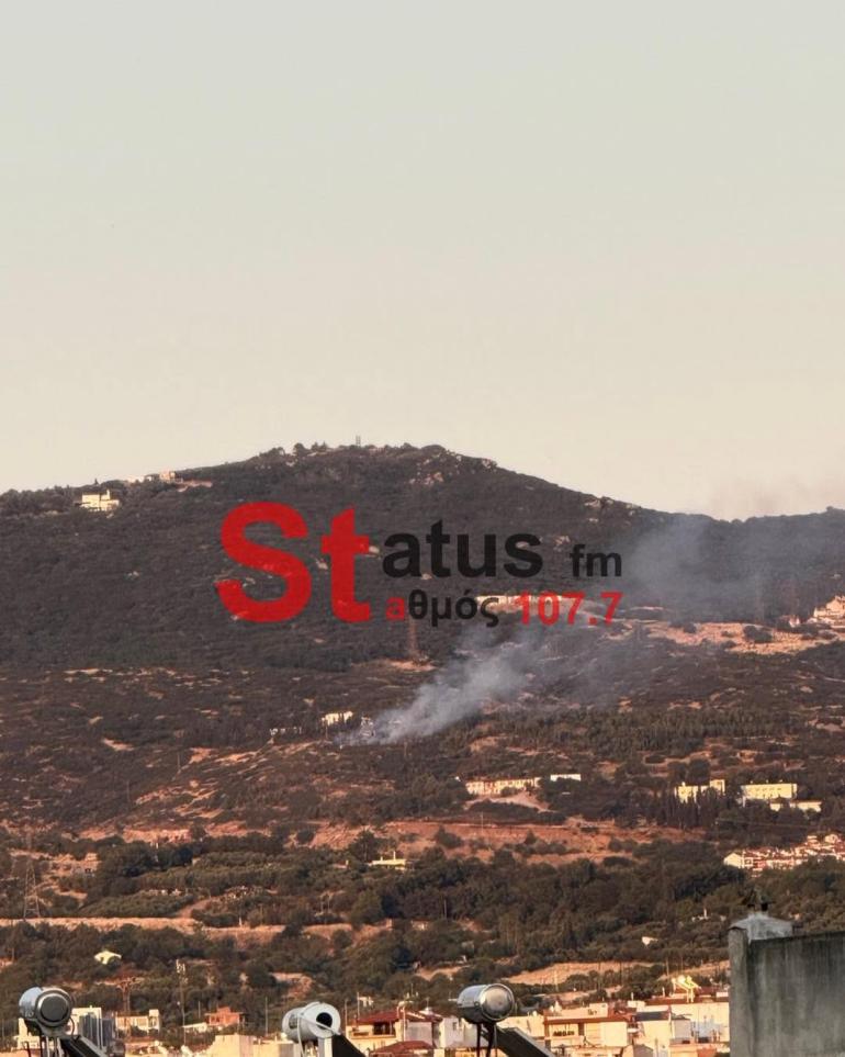 Θεσσαλονίκη: Υπό έλεγχο τέθηκε φωτιά σε αγροτοδασική έκταση στα Πεύκα (ΦΩΤΟ)