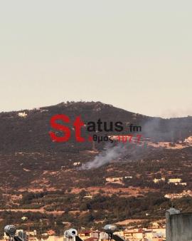 Θεσσαλονίκη: Υπό έλεγχο τέθηκε φωτιά σε αγροτοδασική έκταση στα Πεύκα (ΦΩΤΟ)