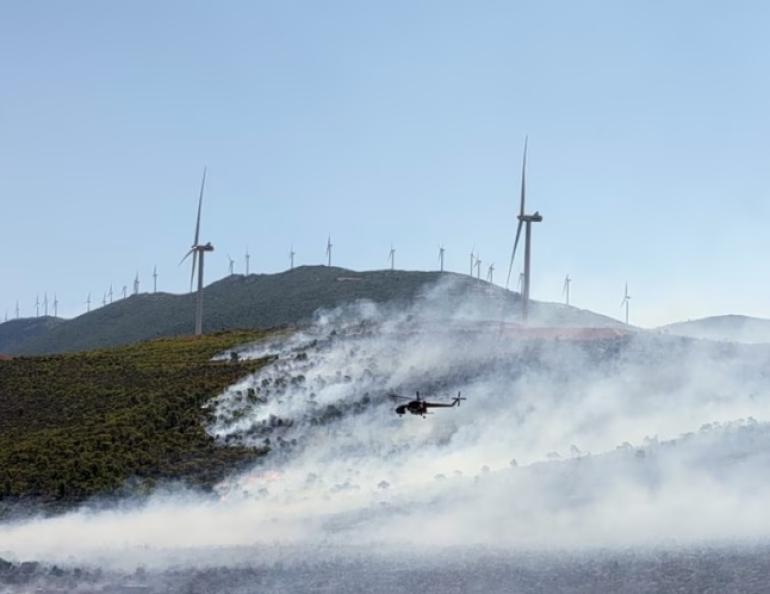 Χαρδαλιάς: Καμία ανεμογεννήτρια σε καμένες και αναδασωτέες περιοχές της Αττικής