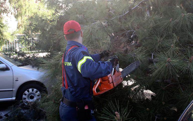 Θεσσαλονίκη: Οκτώ κοπές δέντρων από την Πυροσβεστική λόγω της κακοκαιρίας