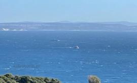 Τουρκικά αλιευτικά στα 100 μέτρα από το λιμάνι του Αγαθονησίου ανήμερα της 25ης Μαρτίου