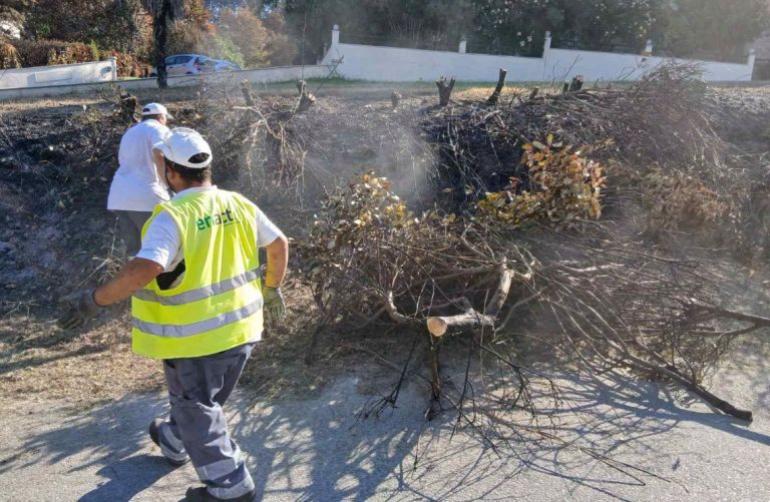 Χαλκιδική: Εκτεταμένοι καθαρισμοί στη Σίβηρη μετά τη μεγάλη πυρκαγιά